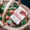 LINE_NOTE_251129_41 LANA 發光煙彈 超涼 通用RELX一代|買十送一