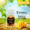 TUNDRA芒果2-T牌芒果-768x769 TUNDRA T 牌 芒果 馬來西亞 原裝|小煙油 30ML