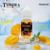 微信图片_20250205145235-768x769 TUNDRA T 牌 芒果 馬來西亞 原裝|小煙油 30ML