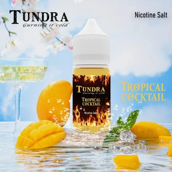 微信图片_20250205145235-768x769 TUNDRA T 牌 芒果 馬來西亞 原裝|小煙油 30ML